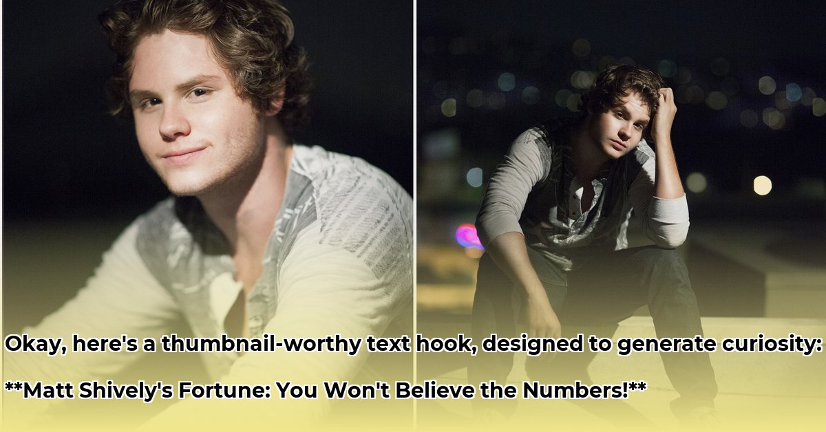 matt-shively-net-worth